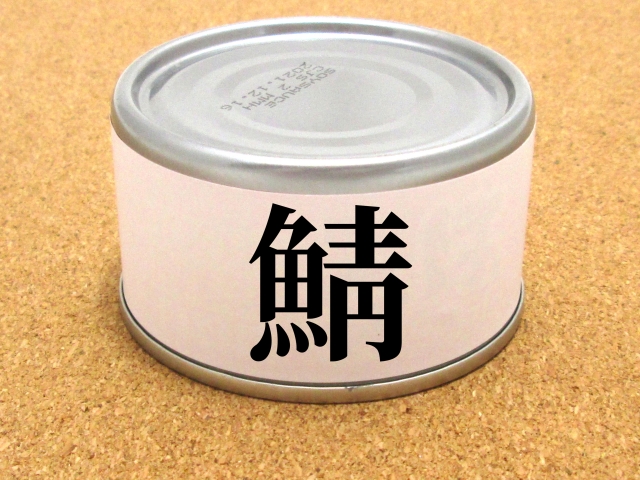 カレー ヒルナンデス サバ 缶