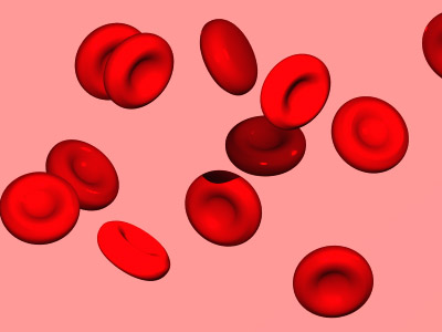 世界一受けたい授業 はたらく細胞 が大人気 赤血球 血小板 白血球 ｎｋ細胞の働き