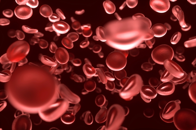 赤血球イメージ